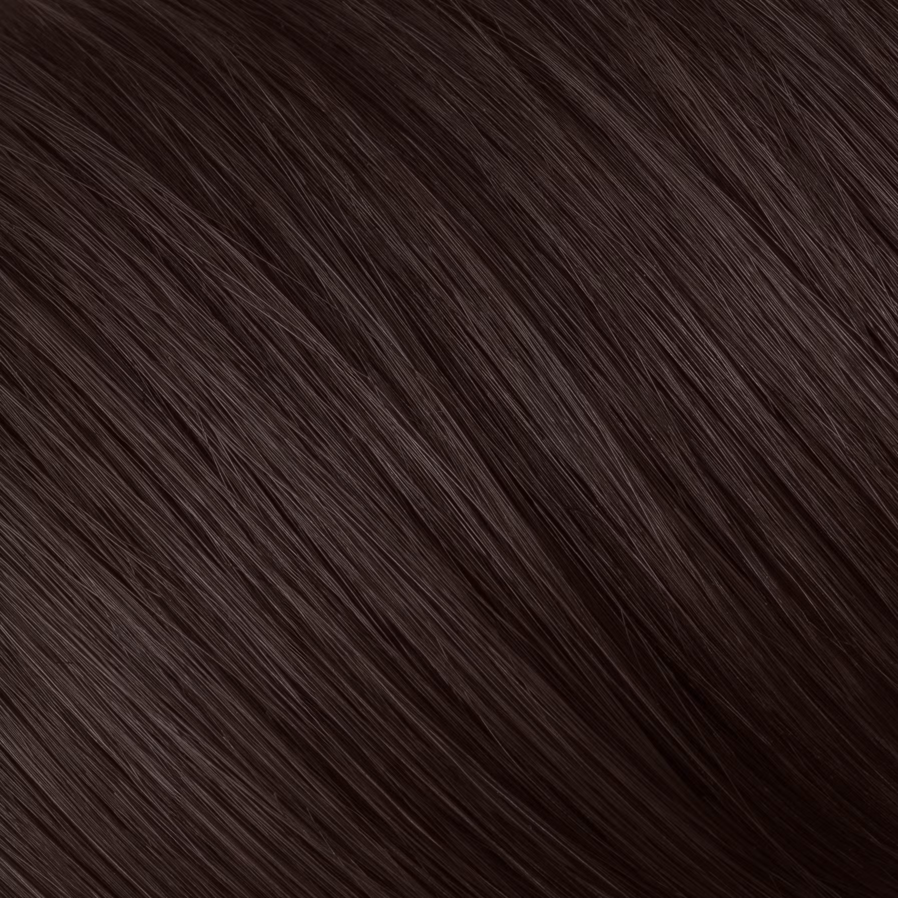 Ebony 2.3 - Naturigin