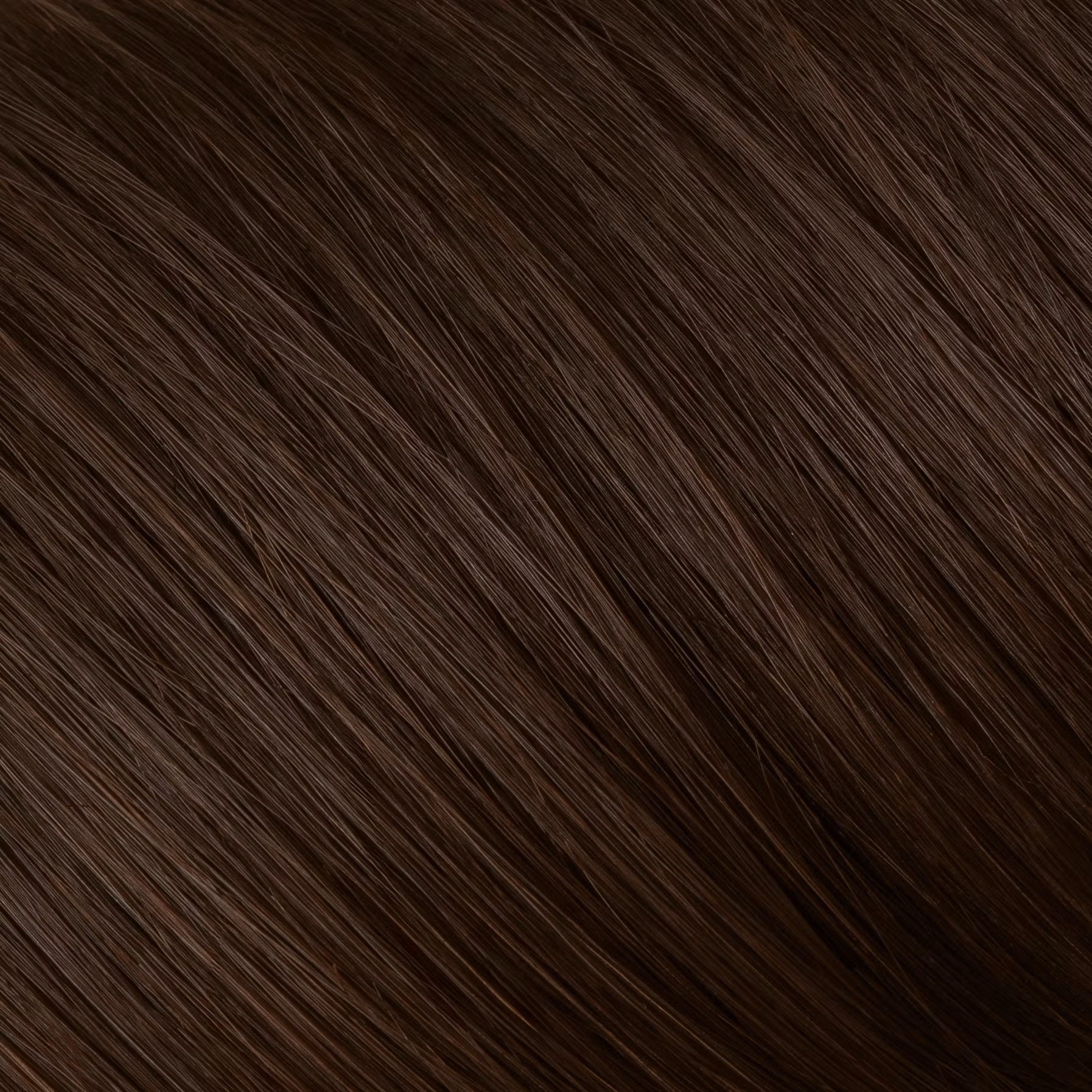 Dark Brown 3.0 - Naturigin