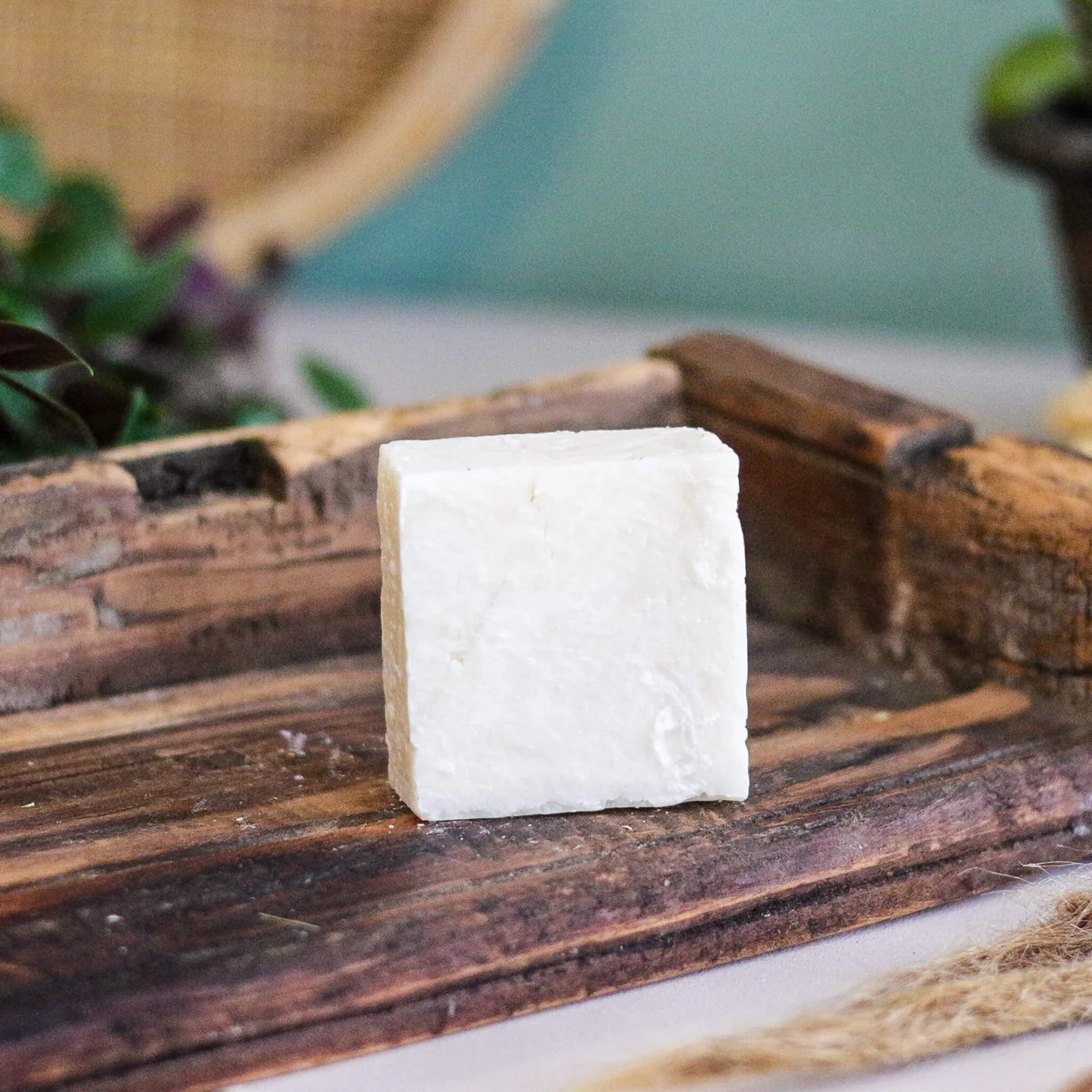 Velvet Bloom Shampoo Bar - Raw Roots