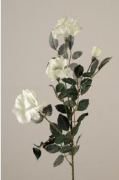 Roskvist vit/Silver- Längd 72 cm