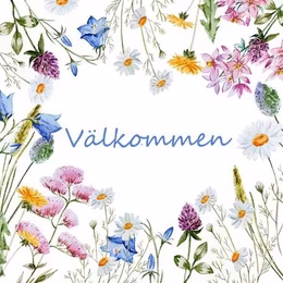 Servetter med text -Välkommen