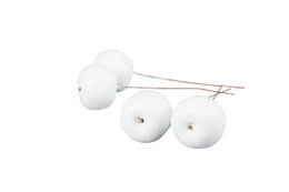 Äpple Vit/Tråd 35 mm- 4 pack