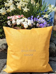Solkyssta dagar