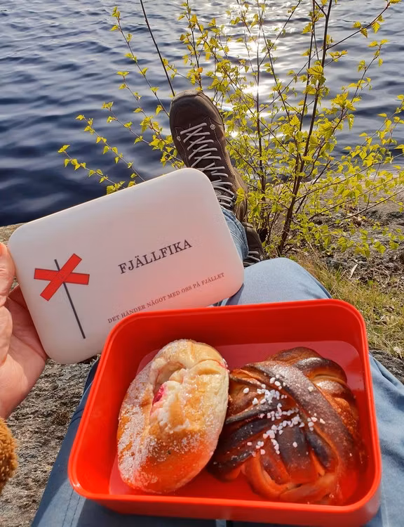 Matlåda - Fjällfika