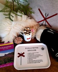 Fjällvettsregler - Bricka