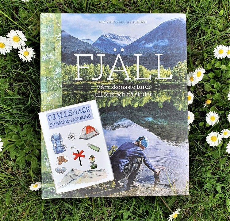 Fjällsnack  - kortspel