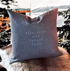Fjällvind gör tanken klar