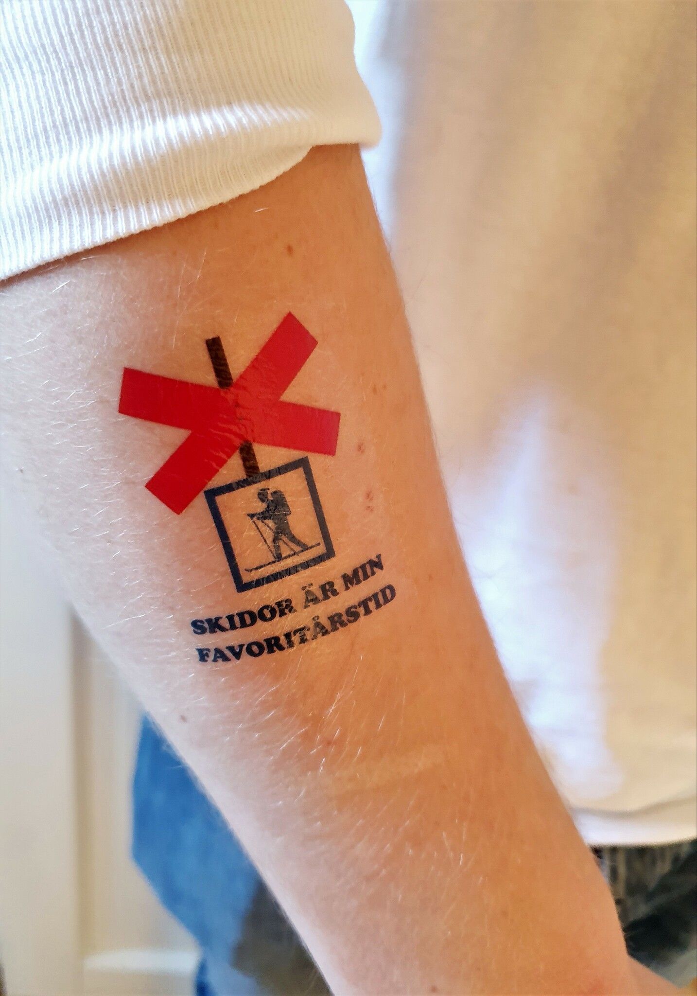 Gnuggisar /tillfälliga tatueringar - Skidor