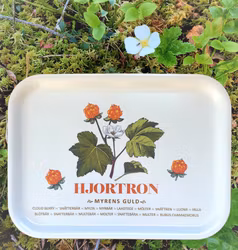 Hjortron - Bricka