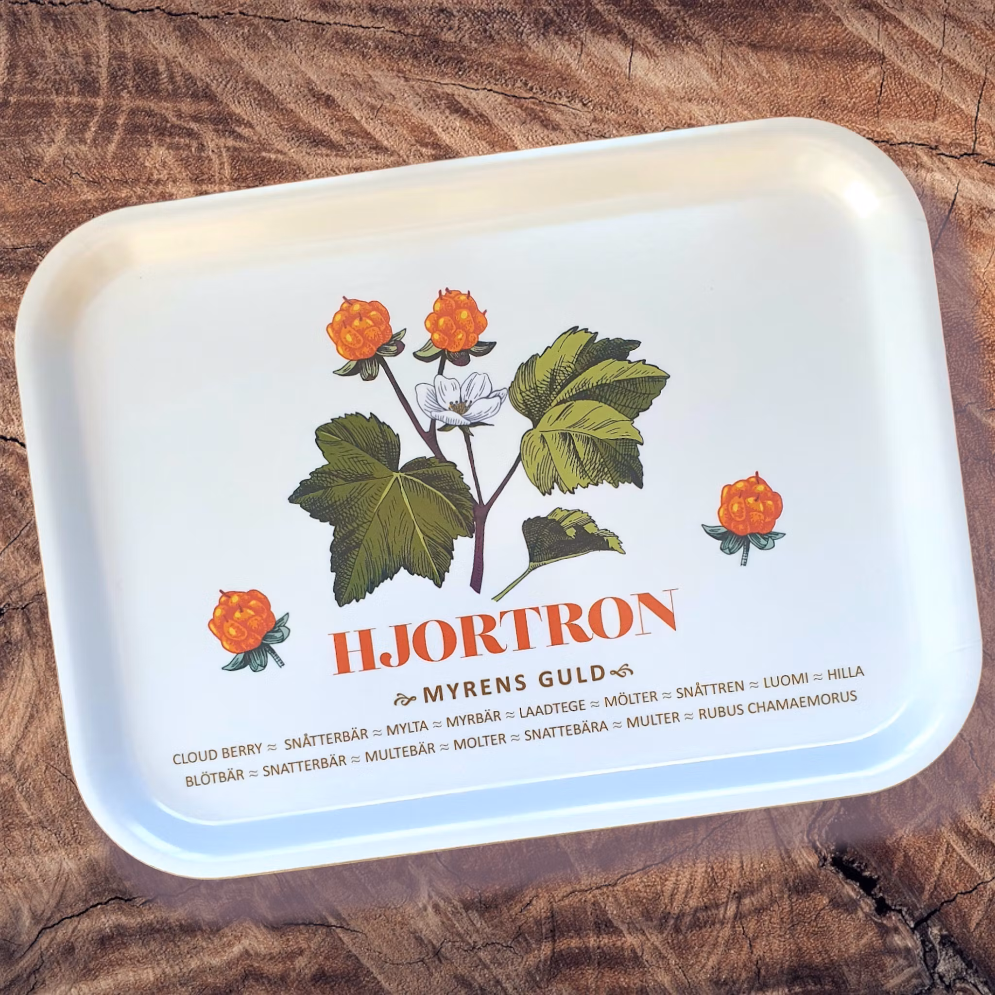 Hjortron - Bricka