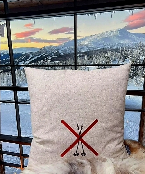 Korsade skidor med stavar