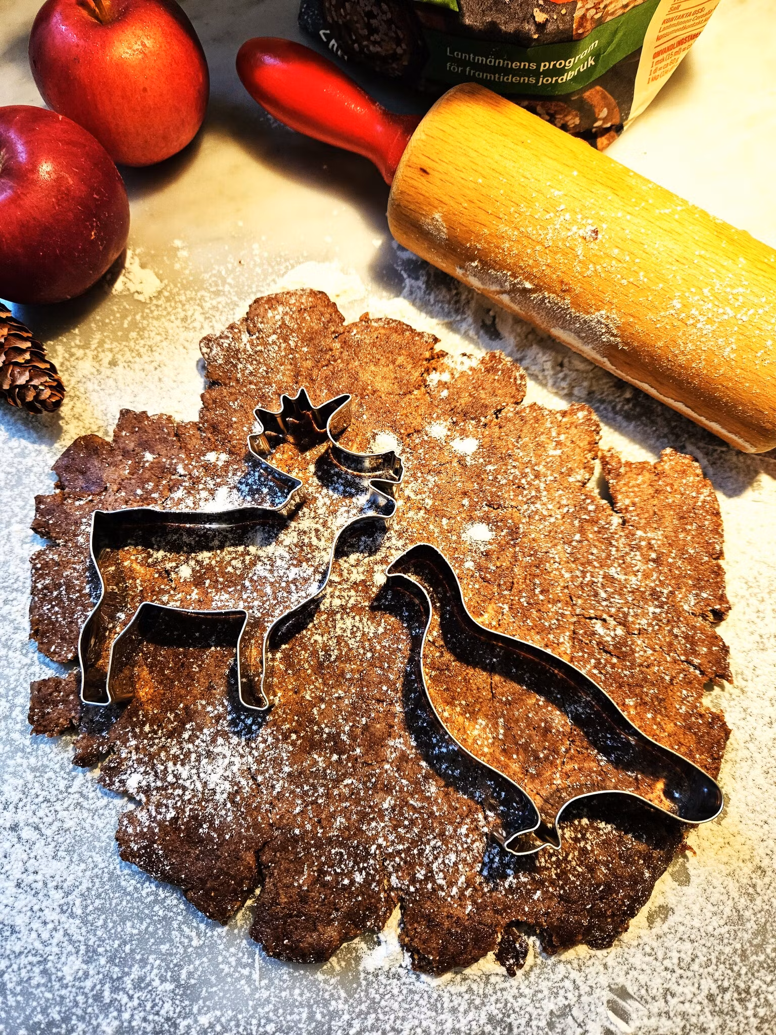 Ripa pepparkaksform