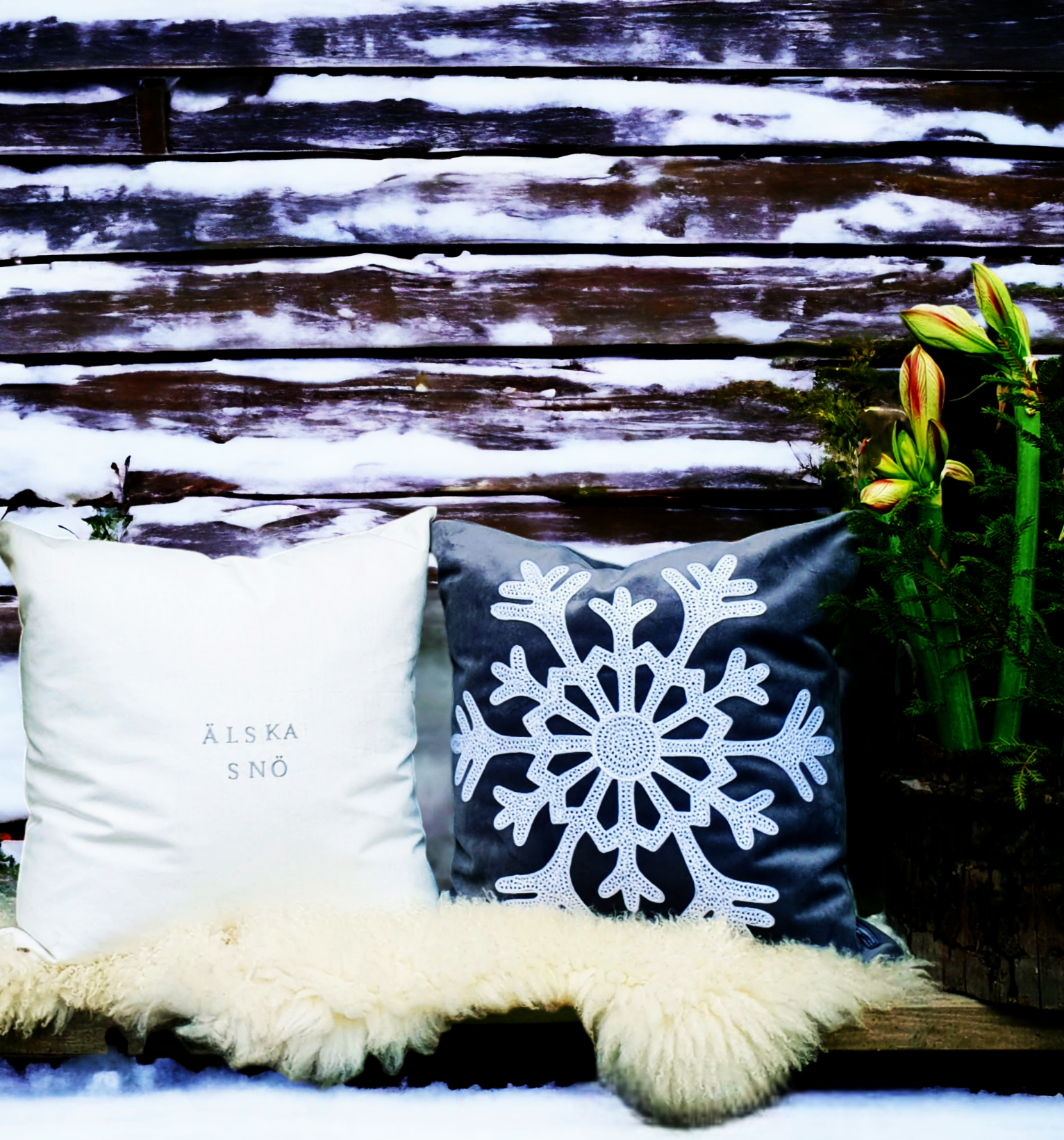 Älska snö