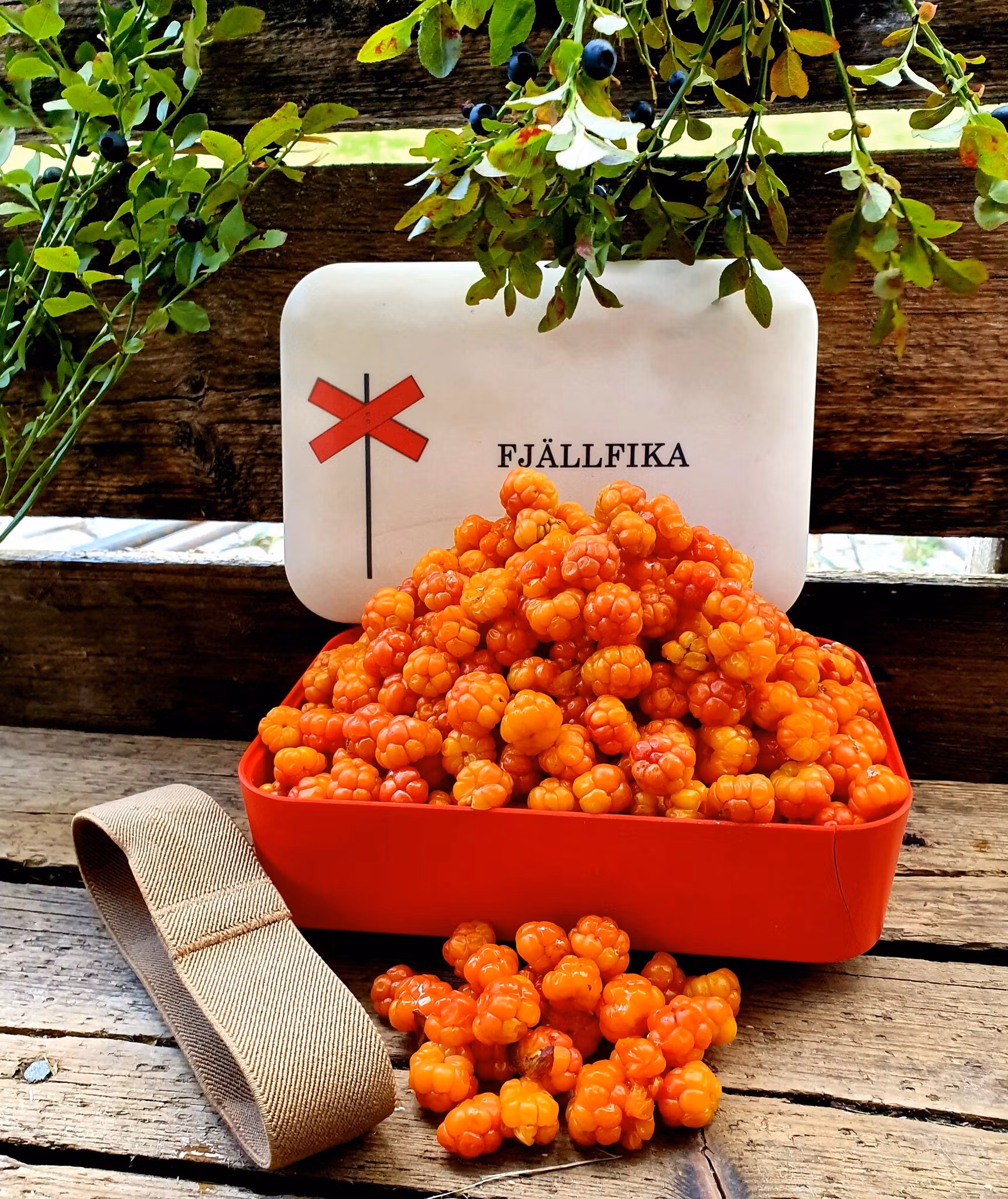 Matlåda - Fjällfika