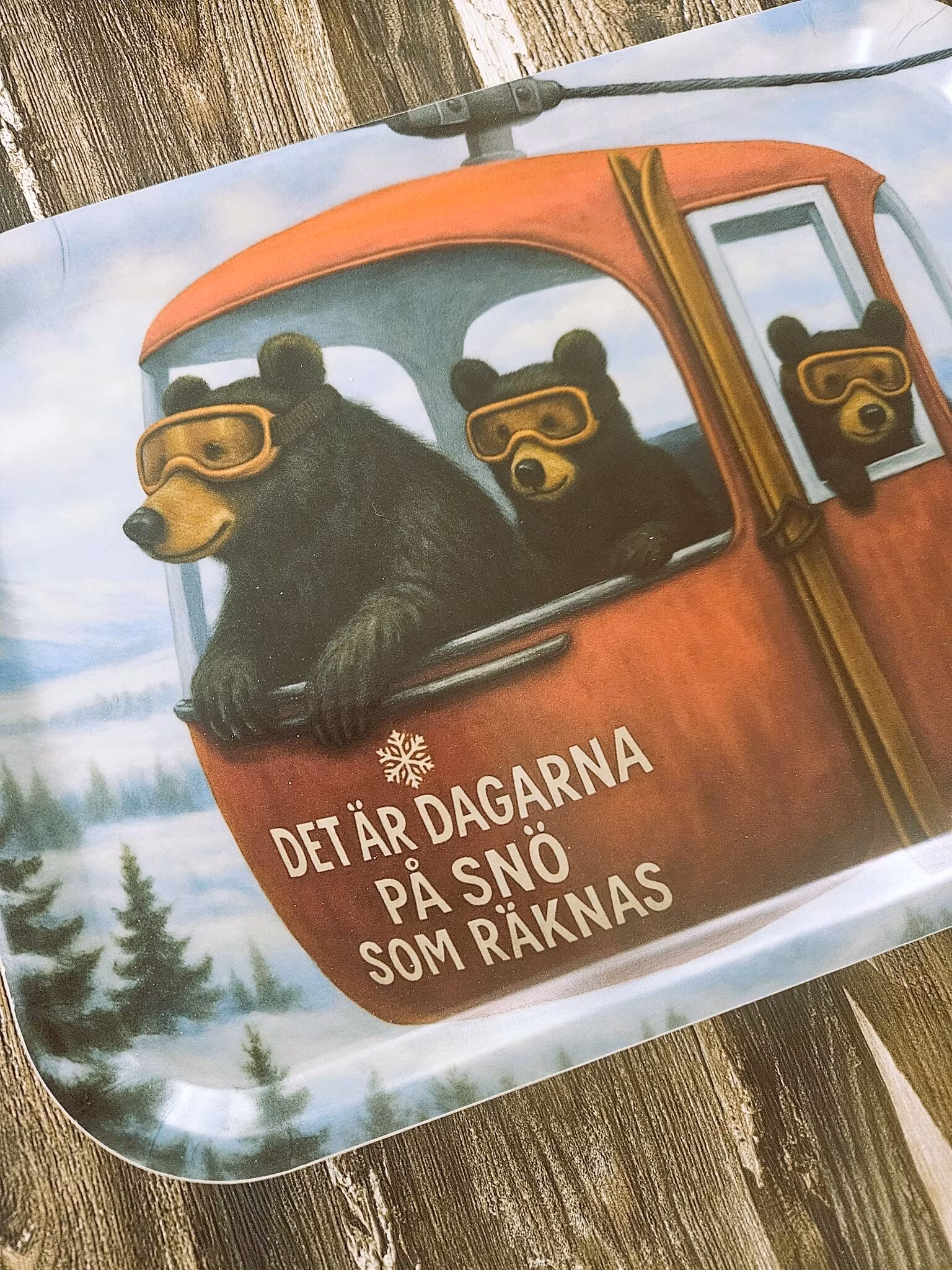 Skidbjörnar - Bricka