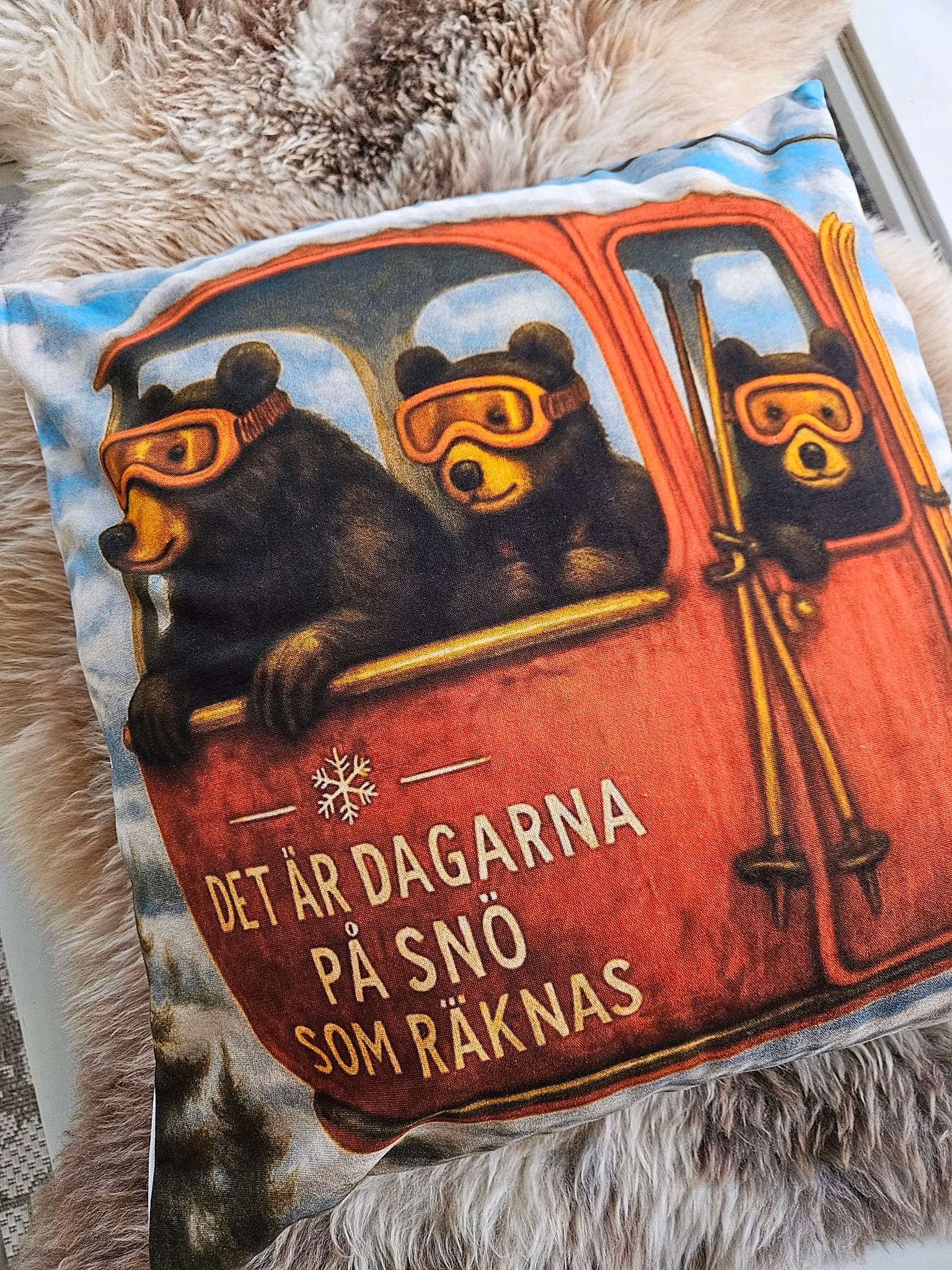 Skidbjörnar - kuddfodral