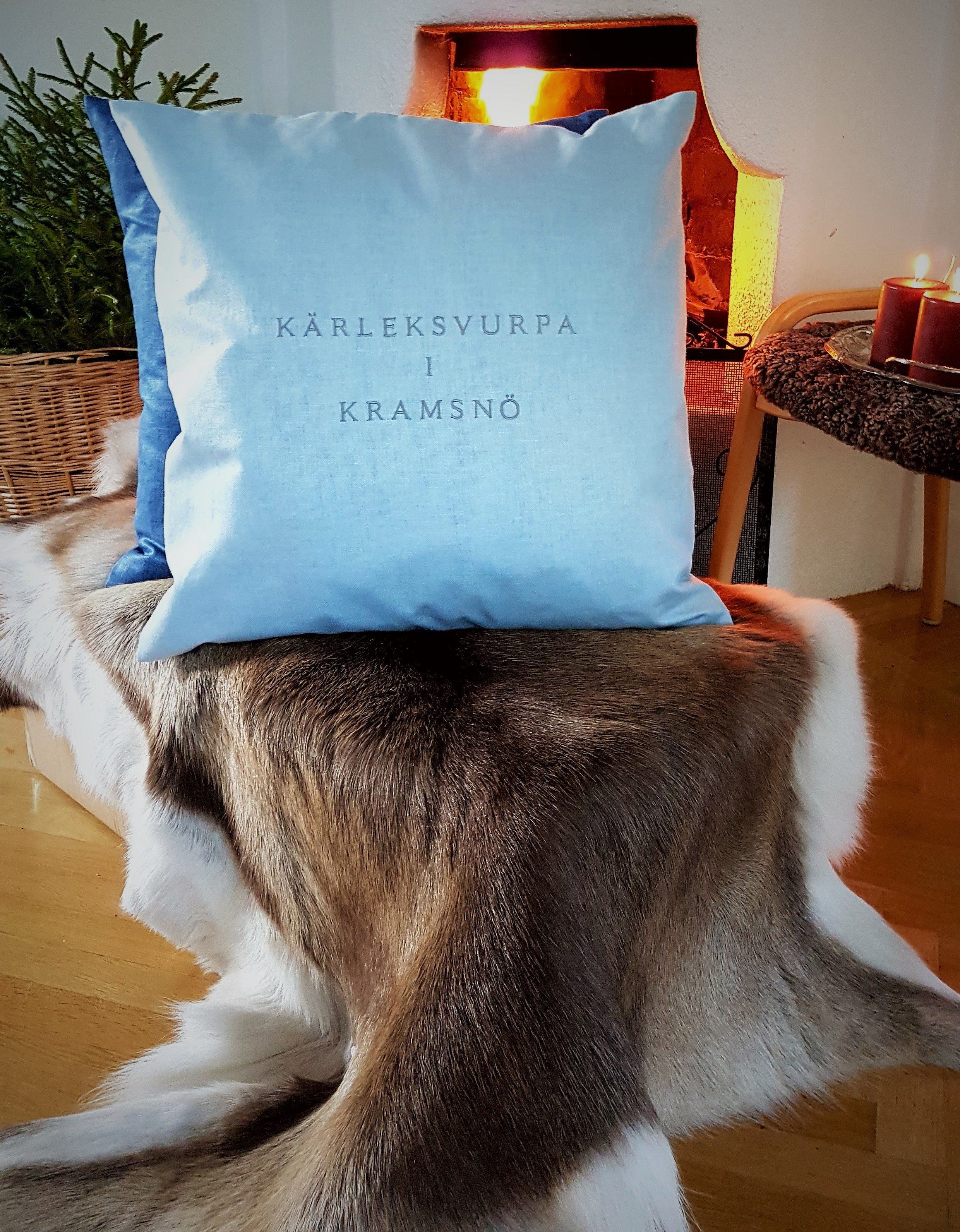 Kärleksvurpa i kramsnö
