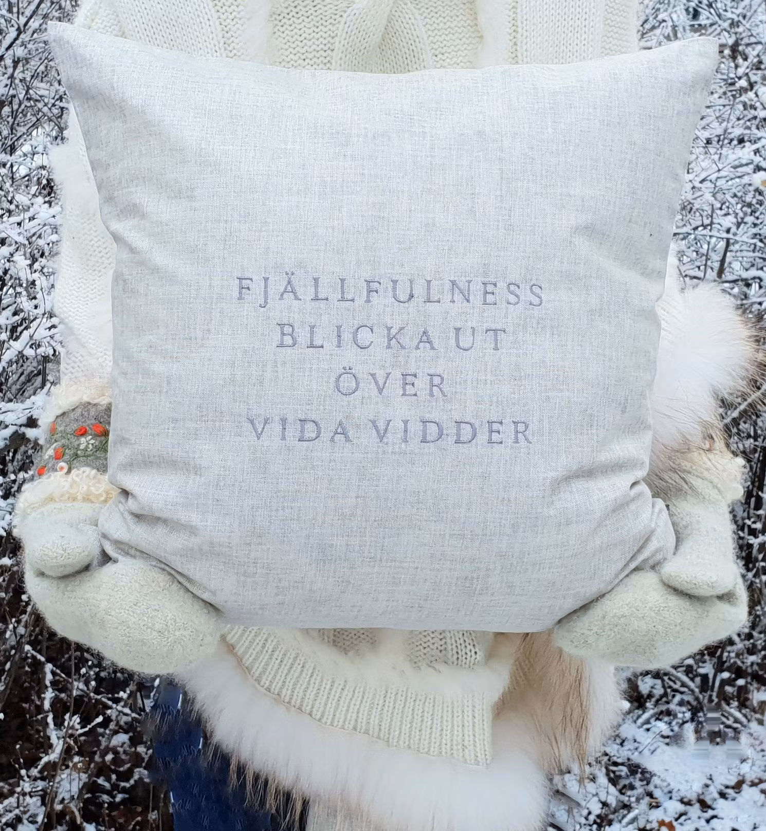 Fjällfulness blicka ut över vida vidder