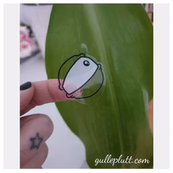 DIY Gulleprutta, 3-pack transparenta klistermärken