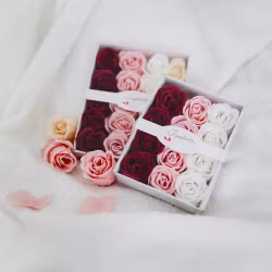 Badrosor, 12-pack Isabelle Laurier