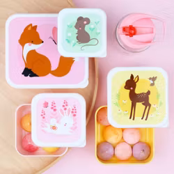 Lunch & snack box set - Forest Friends