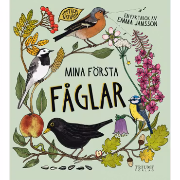 BARNBOK: Mina första fåglar (3-6 år)