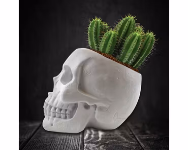 Odlingskit Kaktus i Döskalle