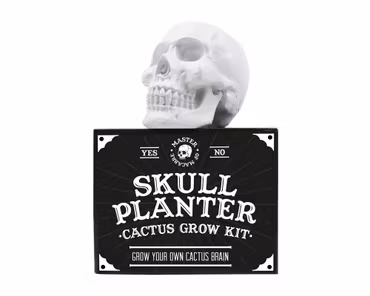 Odlingskit Kaktus i Döskalle