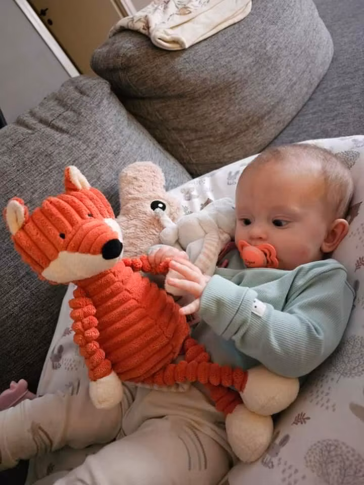 Gosedjur, Räv 34 cm (Cordy Roy Baby Fox) gulleplutt, handgjorda