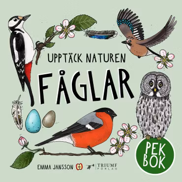 PEKBOK: Upptäck naturen Fåglar