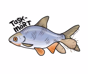 MUGG: Taskmört (Den Alternativa Djurparken)