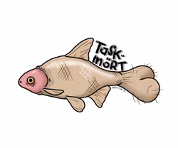 TYGKASSE: Taskmört (Den Alternativa Djurparken)