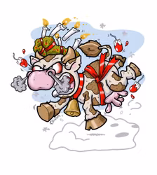 FROSTAD LJUSLYKTA: Klimakteriekossan Lucia (Den Alternativa Djurparken)