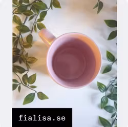 Arga Enhörningen, Rosa Mugg (Klumparna)