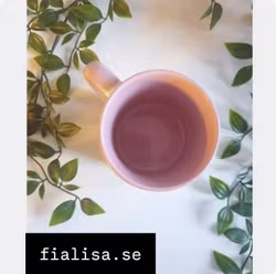 MUGG, Rosa, Med lite jävlar anamma kan vad som helst gå åt helvete