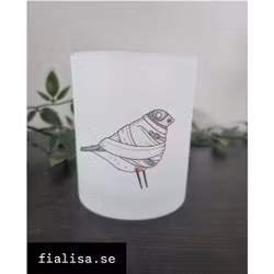 DÅRFINK, Frostad Ljuslykta (Den Alternativa Djurparken)