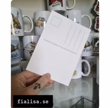 VYKORT: Fladdermus (Den Alternativa Djurparken)