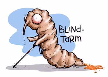 NYCKELRING: Blindtarmen Birgit (Den Alternativa Djurparken)