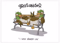 VYKORT: Gräsänder (Den Alternativa Djurparken)