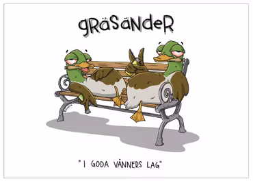 VYKORT: Gräsänder (Den Alternativa Djurparken)