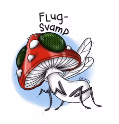 VYKORT: Flugsvamp (Den Alternativa Djurparken)