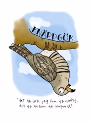 VYKORT: Knäppgök (Den Alternativa Djurparken)