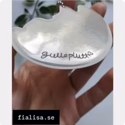 REFLEX: Räven på månen