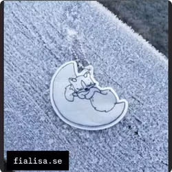 REFLEX: Räven på månen