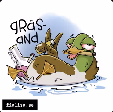 VYKORT: Gräsand (Den Alternativa Djurparken)