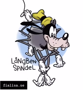 VYKORT: Långbenspindel (Den Alternativa Djurparken)