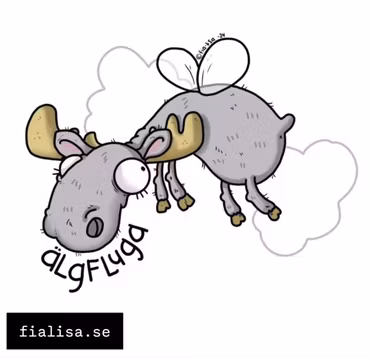 KYLSKÅPSMAGNET: Älgfluga (Den Alternativa Djurparken)