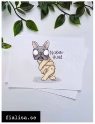 VYKORT: Nakenhund (Den Alternativa Djurparken)