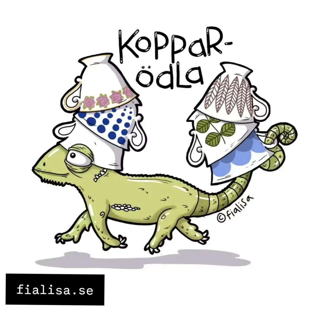 VYKORT: Kopparödla (Den Alternativa Djurparken)