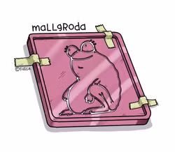KYLSKÅPSMAGNET: Mallgroda (Den Alternativa Djurparken)